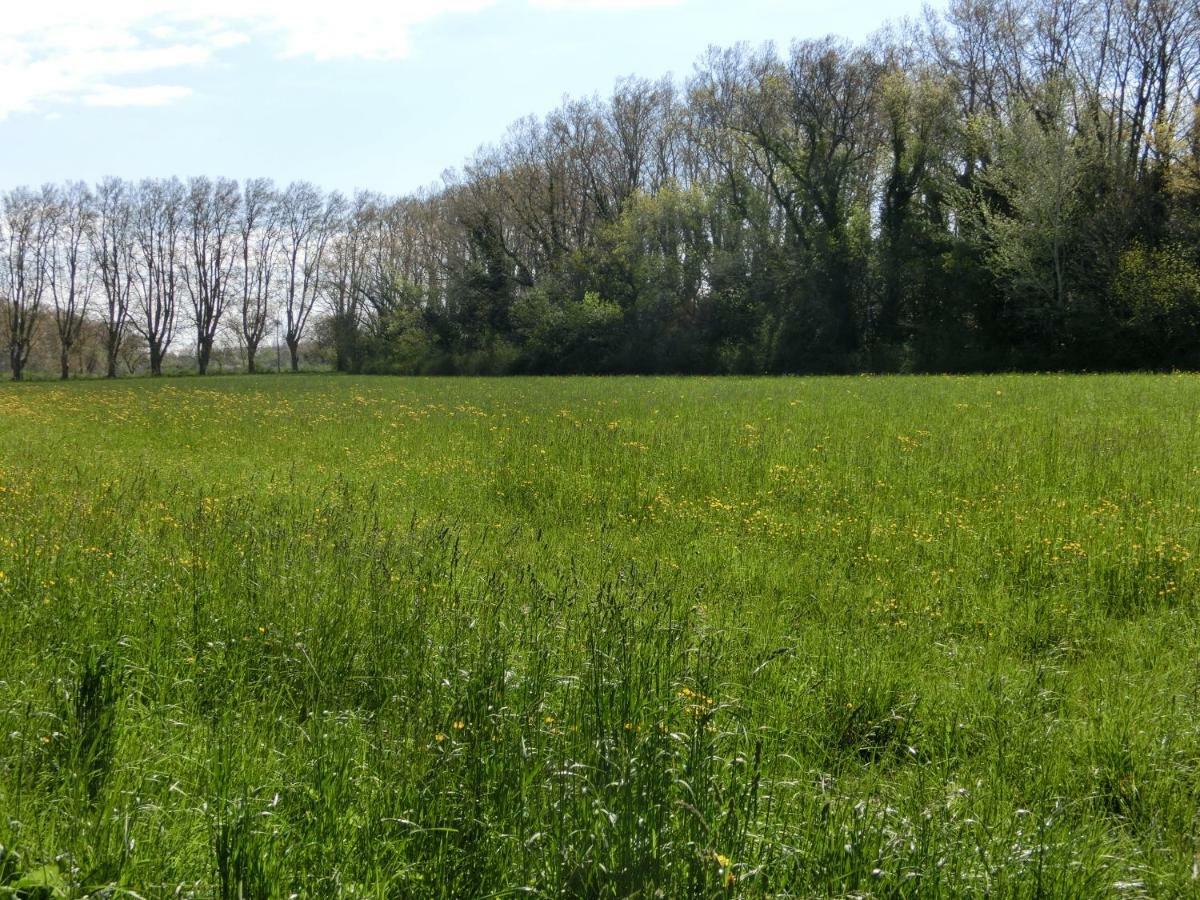 Gite Du Gardien Saint-Martin-de-Crau Exterior foto